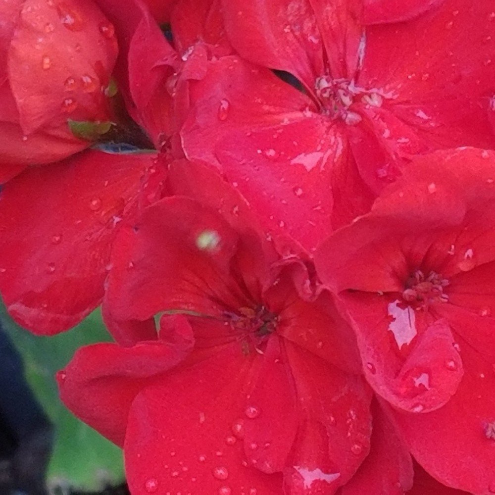 Meet your Posher, Mary